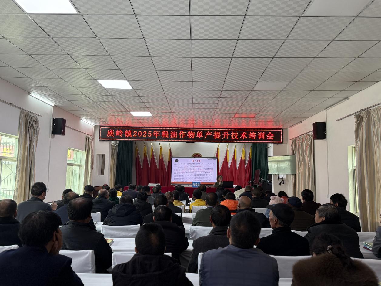 精准培训强技能农业发展添活力(图1)
