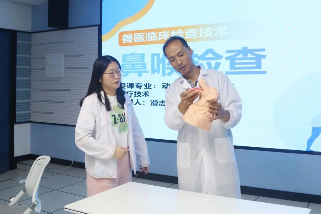 做未来工匠领路人争当职教先锋用心用情育英才……走近这些教师人才(图1)