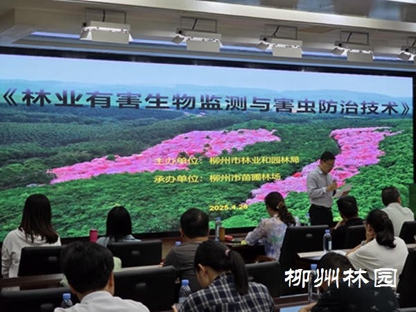 柳州市举办2025年林业有害生物监测与防治技术专项培训(图1)