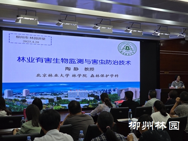 柳州市举办2025年林业有害生物监测与防治技术专项培训(图2)